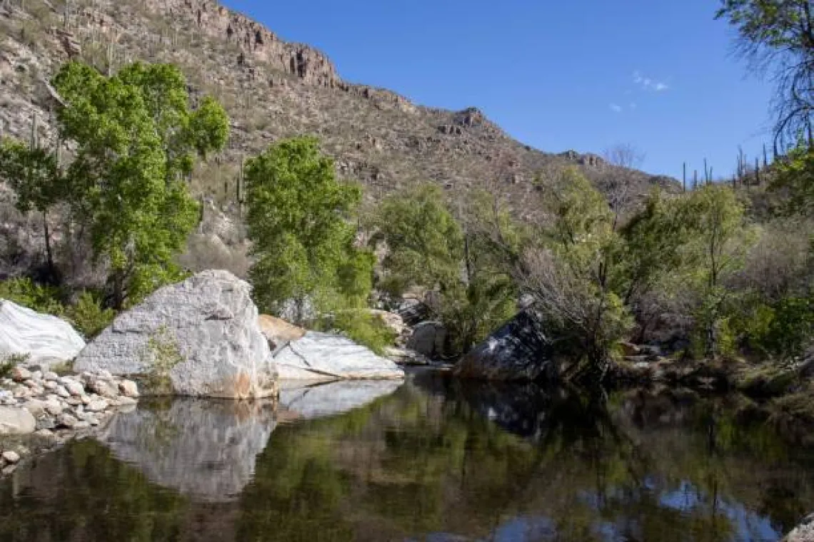 Sabino Canyon Hike